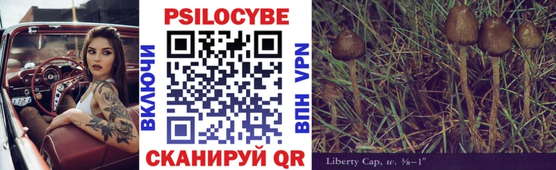 Купить где  Козельск  Галлюциногенные грибы Psilocybine cubensis 